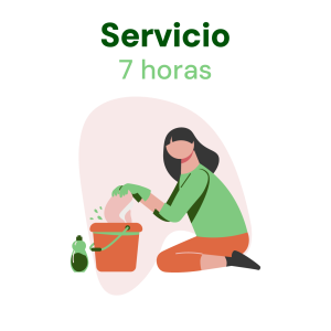 Servicio de limpieza 7 horas